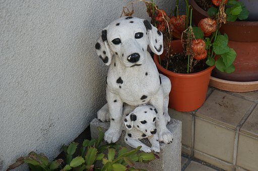 8月29日の写真