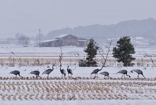 2月4日の写真