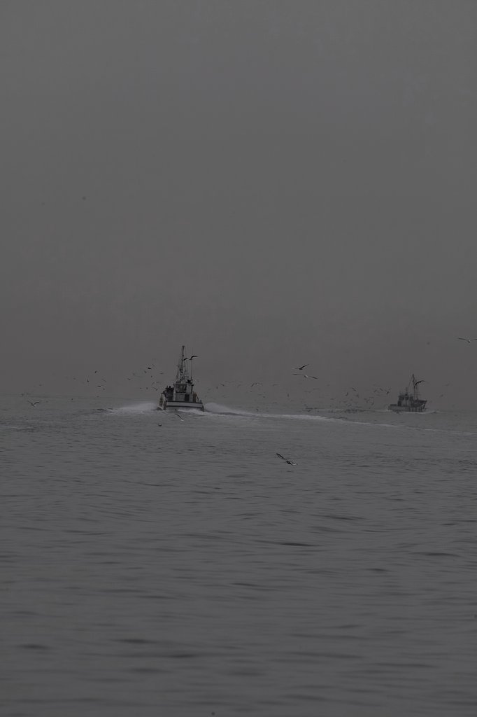 海荒ぶる