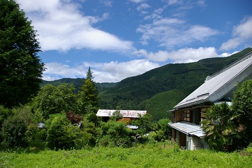 青と白と緑
