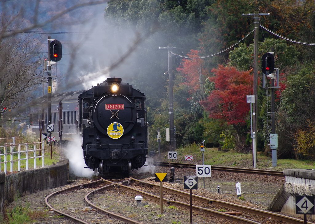 D51