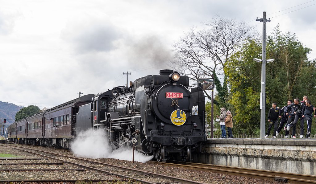 D51