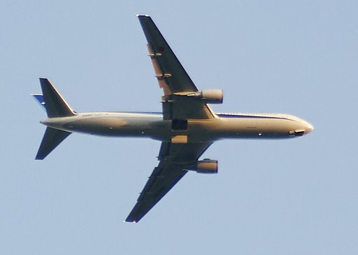 溜池放浪
