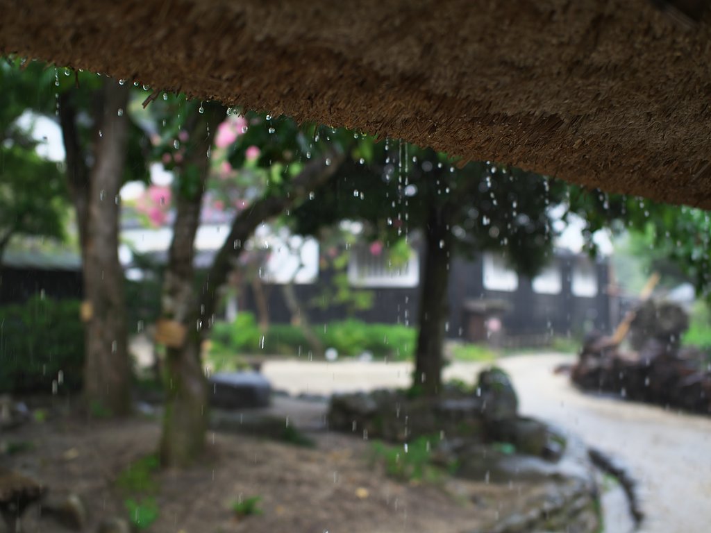 雨1