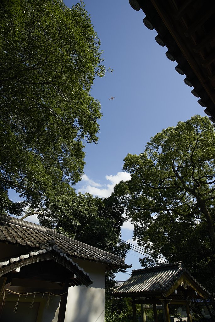 雑景