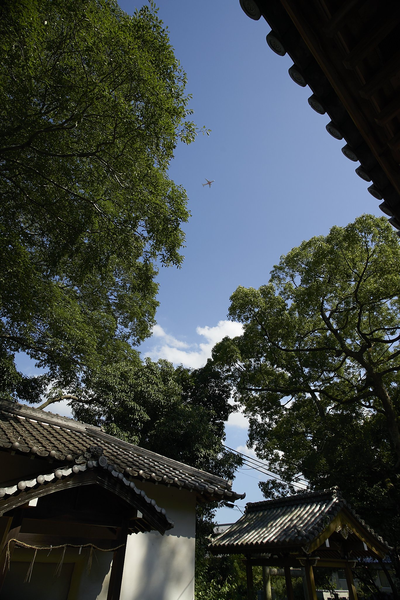 雑景