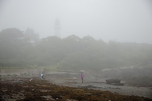 あ、そうそう、肝心のエリザベス岬燈台