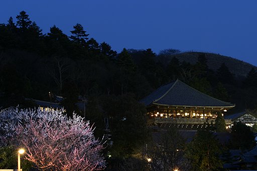 東大寺の紅梅・白梅・二月堂