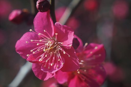 ヘクトール50mm、修理完了