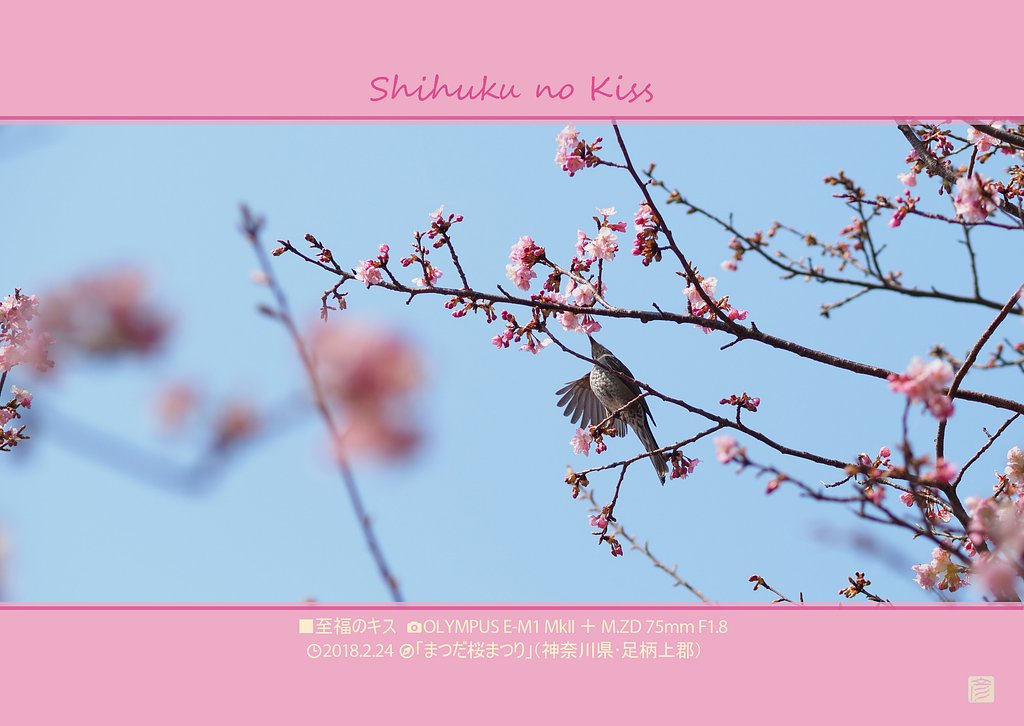 至福のキス