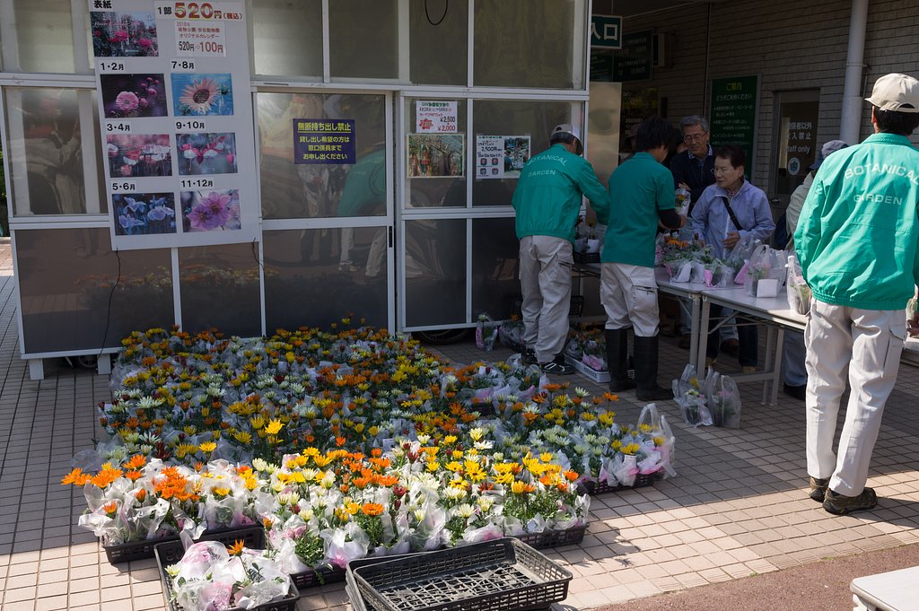 花苗
