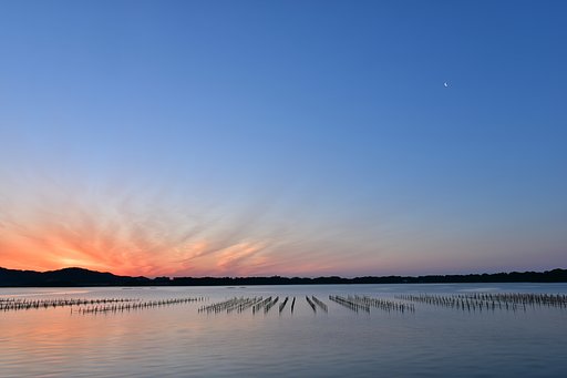 10分前のブッチャー