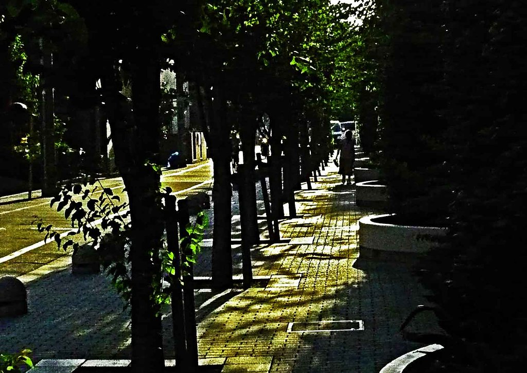 歩道