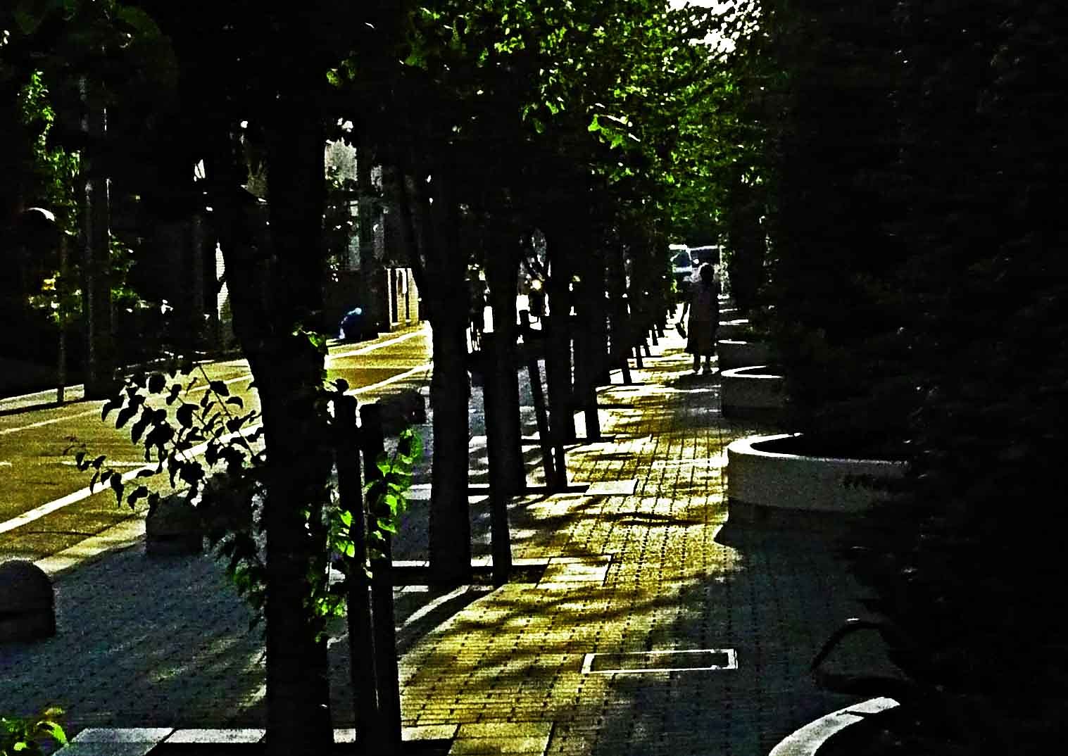 歩道