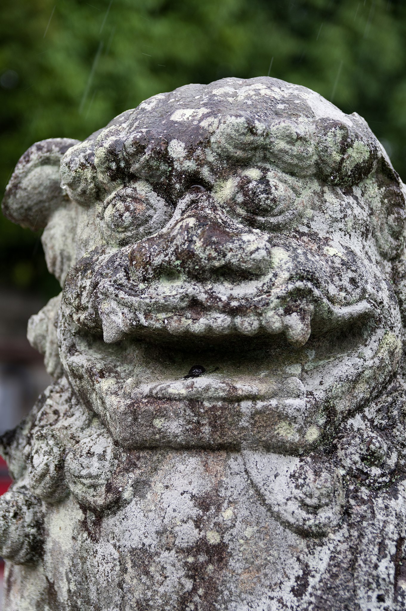 SIGMA 17-50mm F2.8 EX DC HSM 