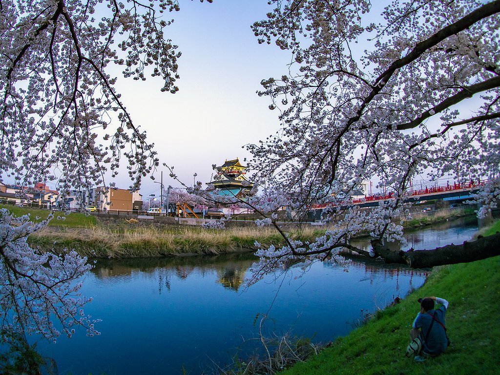 さくらと清洲城