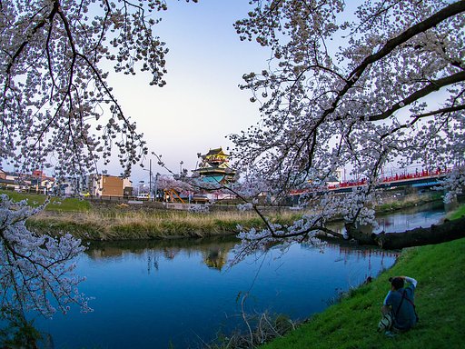 さくらと清洲城