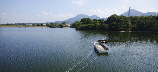 10月9日の写真