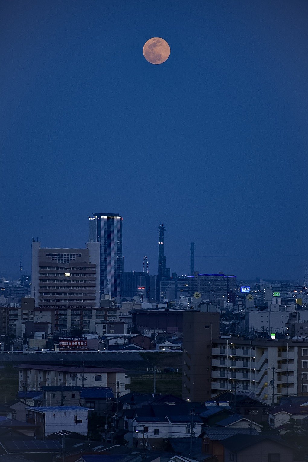 だいだいの月