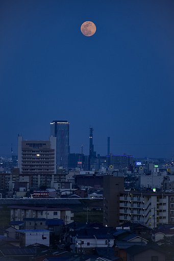 だいだいの月