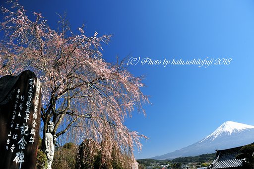 青空に白を浮かべて、、