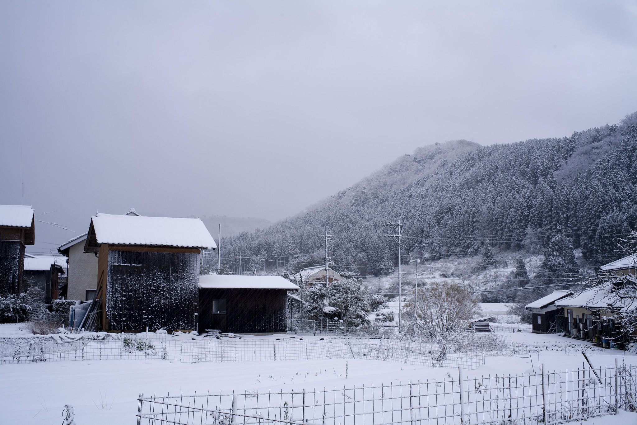 新雪