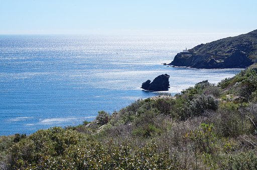持つべきものは、地中海！④ハーブの香り