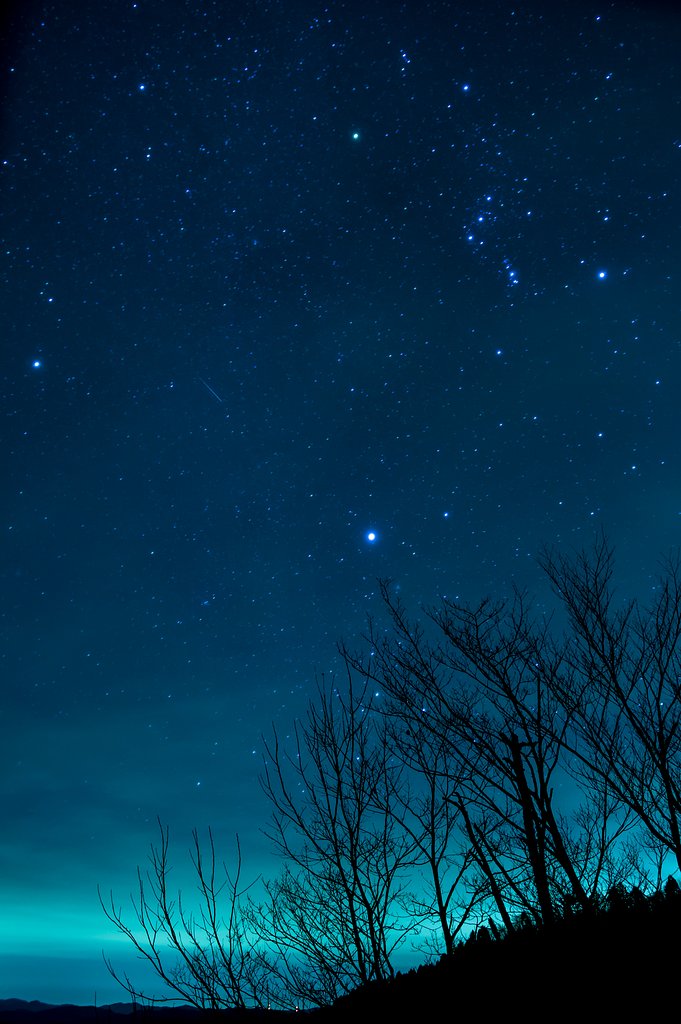 流れ星を探せ！