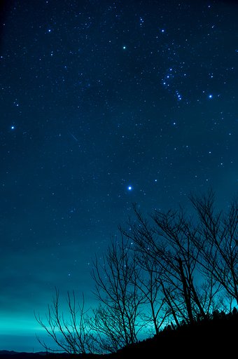 流れ星を探せ！