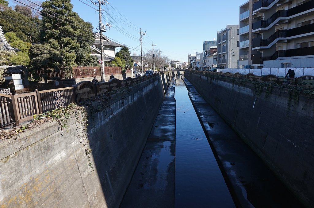 呑川