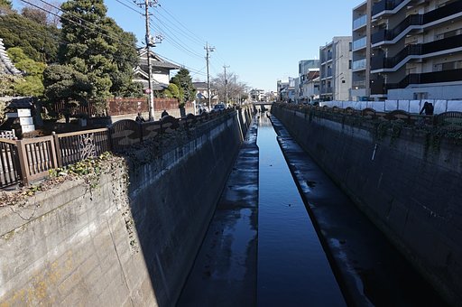 呑川