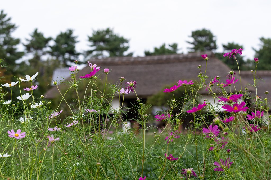 EF70-200mm F4 L IS