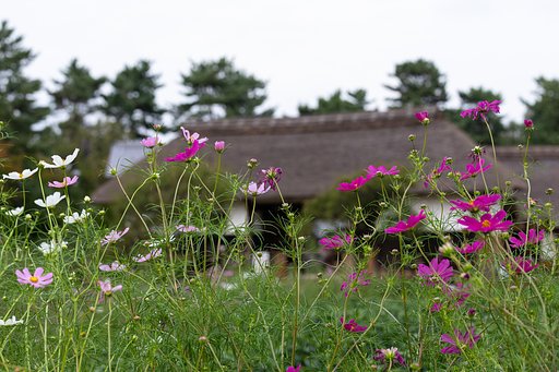 EF70-200mm F4 L IS