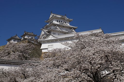 天守をメインに