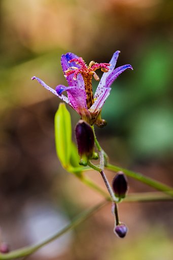 EF180mm F3.5 L Macro