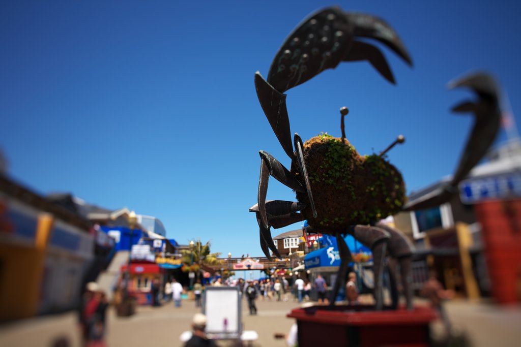 Fisherman's Wharf