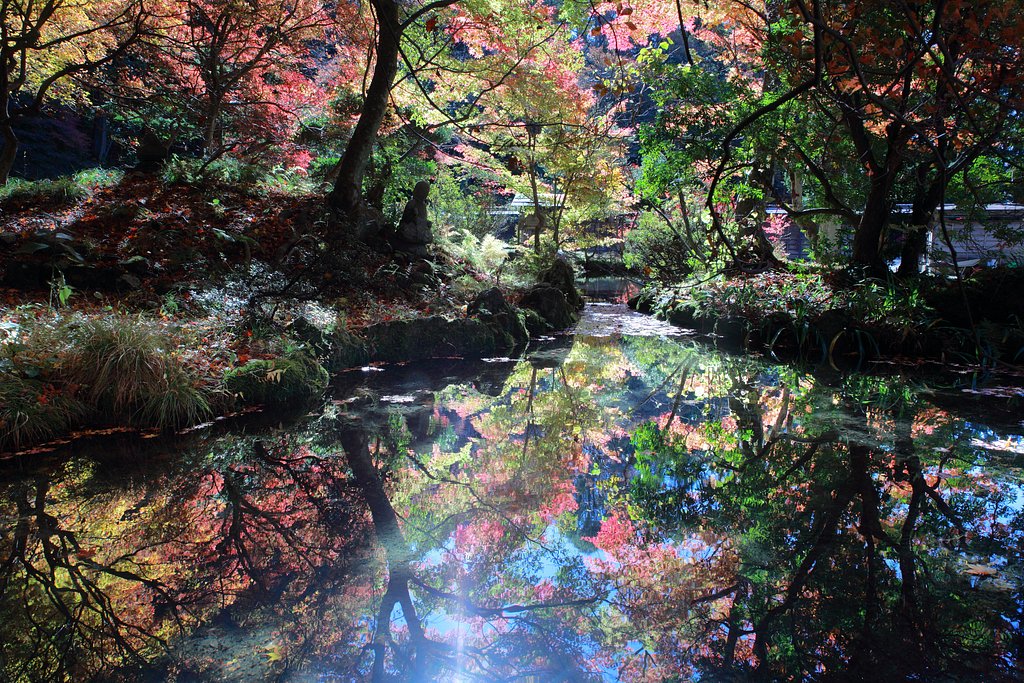禅の彩