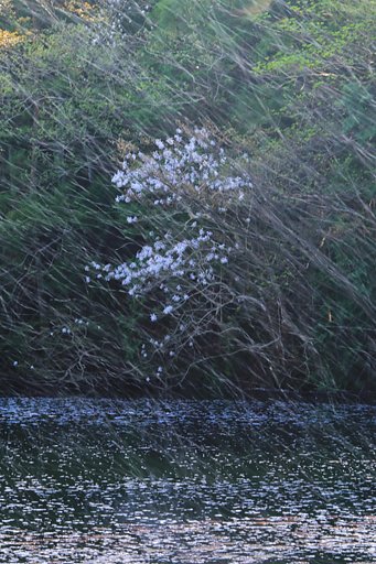 雨・・・？