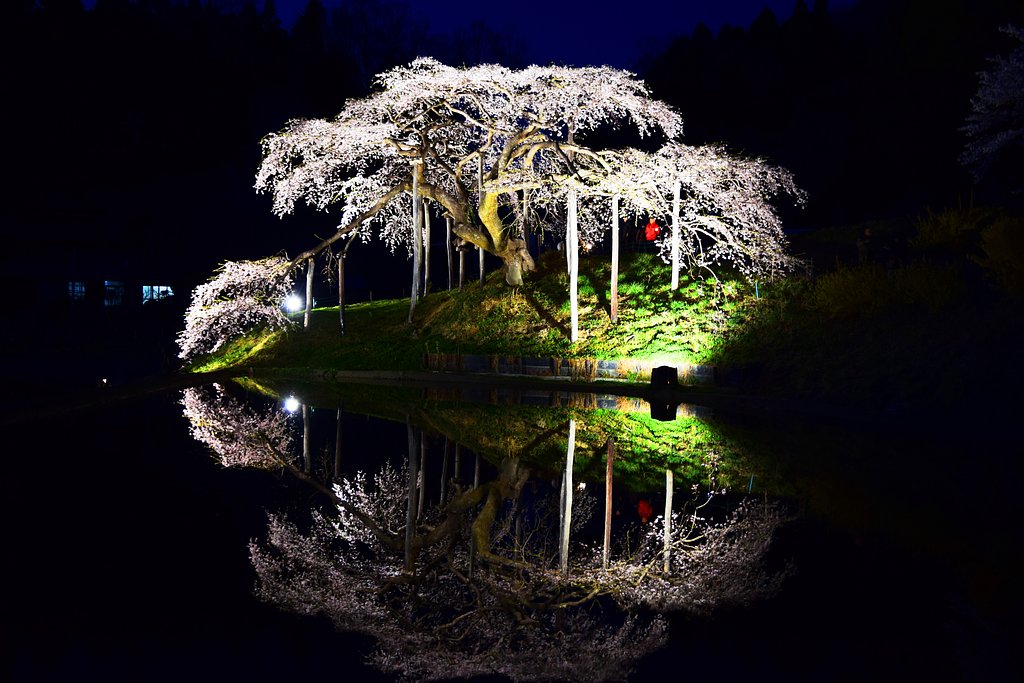 中島の地蔵桜