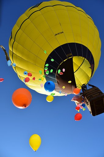冬空に遊ぶ
