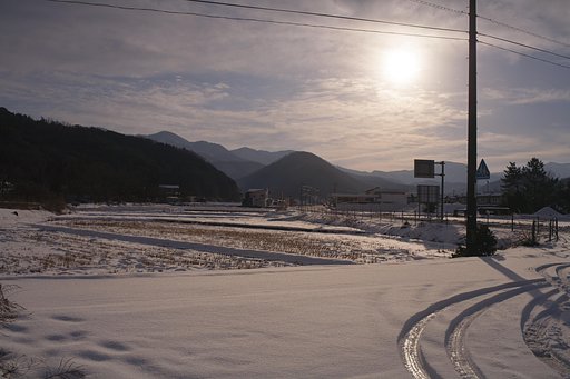 朝の陽ざし