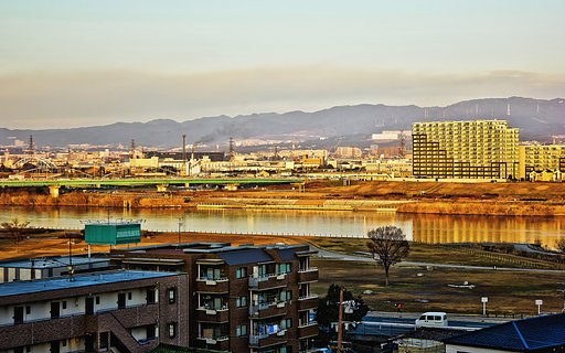 【新春】淀景色