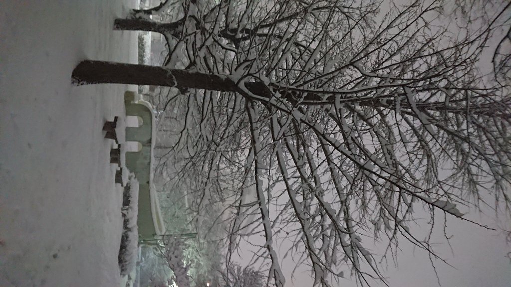 雪の降る街を・・・