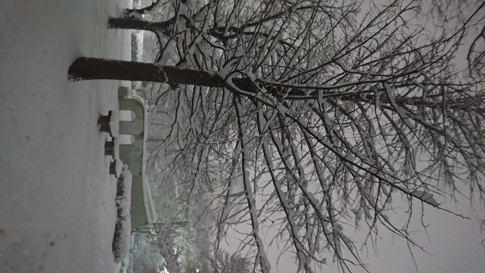 雪の降る街を・・・