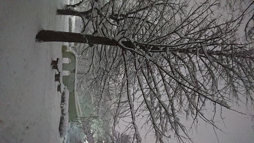 雪の降る街を・・・