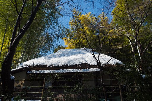 改めて、色の濃さに驚く
