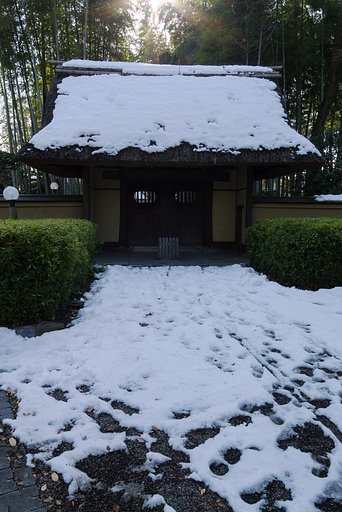 残雪
