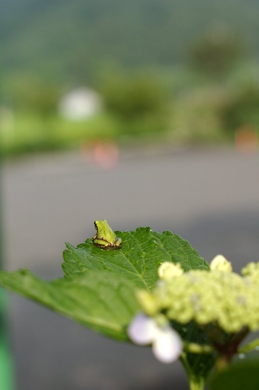 どこを見ているのかな？