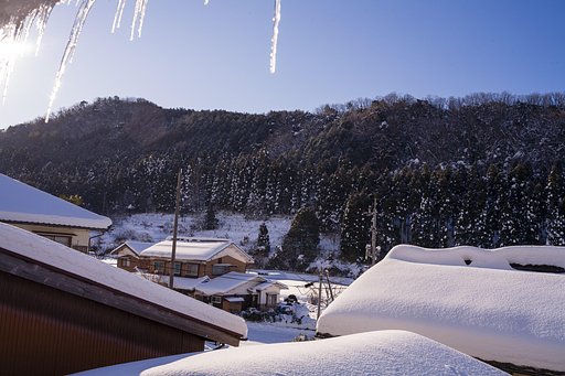 ツララ