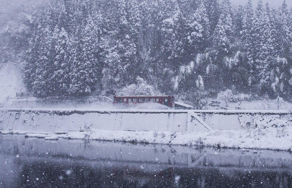 晩冬の長良川鉄道